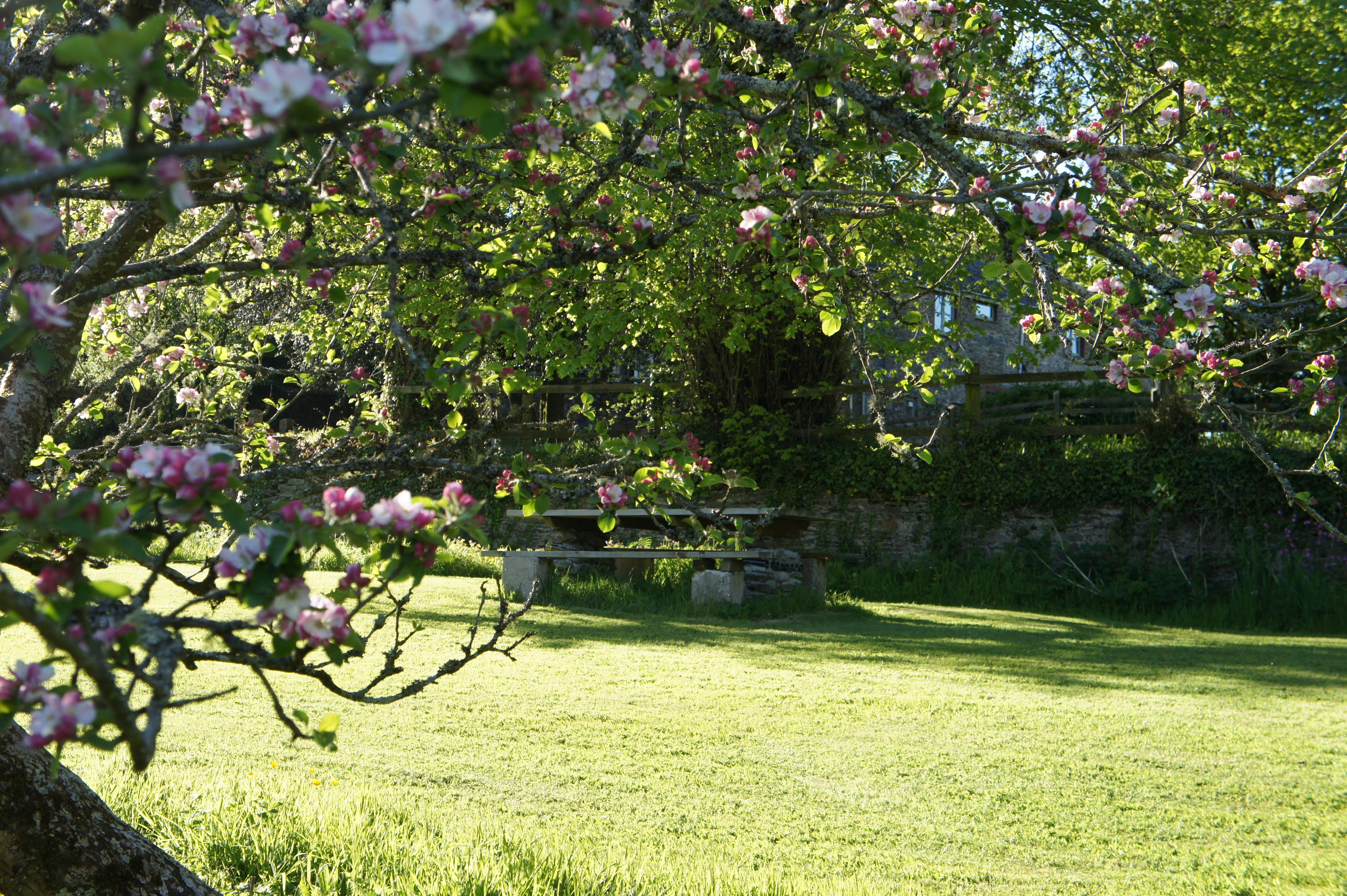 Picnic table in the gardens